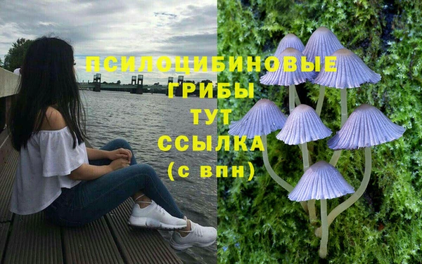 соль ск Алзамай