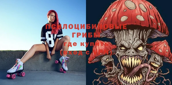 шишки Алексеевка