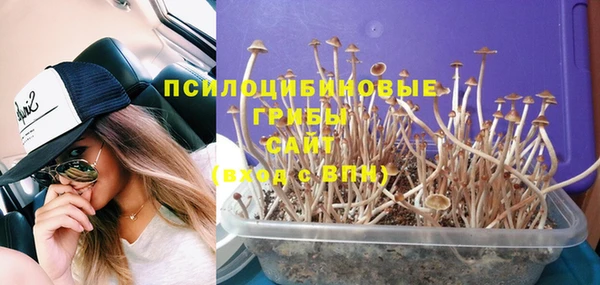 шишки Алексеевка