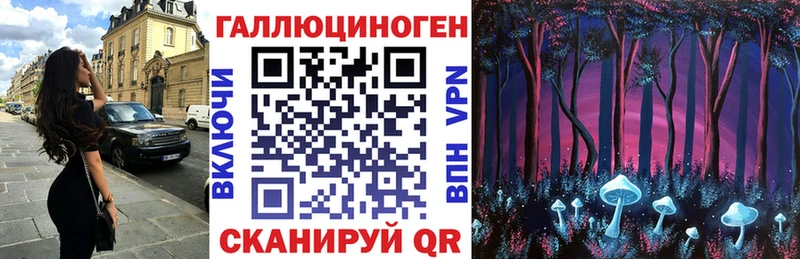 Галлюциногенные грибы Psilocybine cubensis  Нурлат 