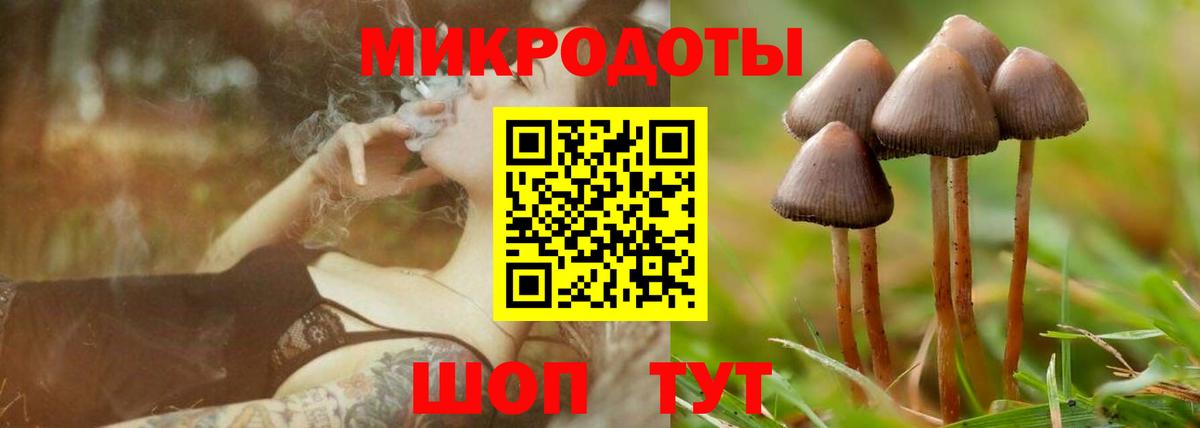 Псилоцибиновые грибы прущие грибы Нурлат
